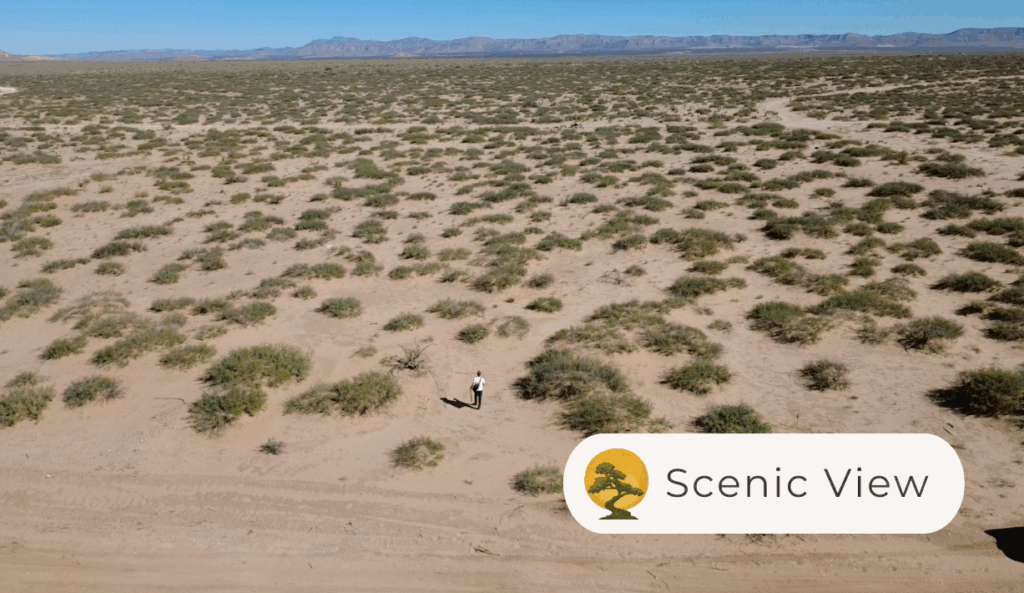 H78410400100190 - Scenic photos 2