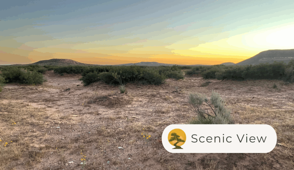 X60700001800610 - Scenic photos 2