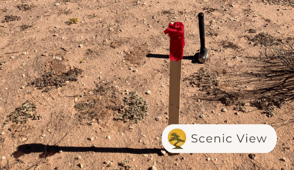 H78400900200200 - Scenic photos 2