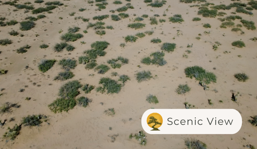 H78400901600030 - Scenic photos 2